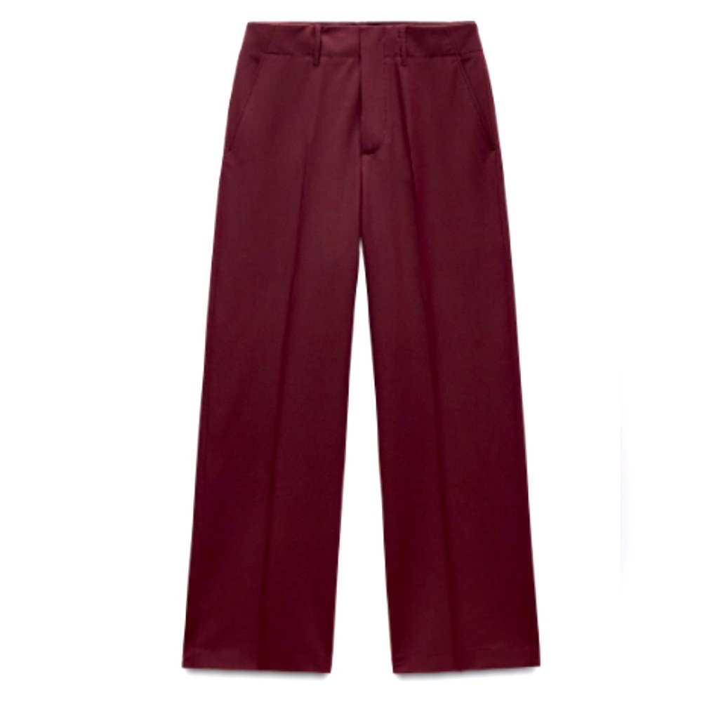 Zara Burgundy Pants